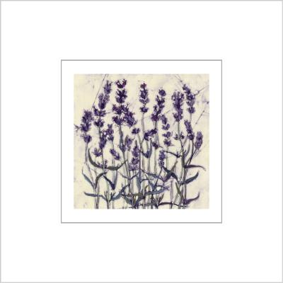 No. 541 Lavender - signed Small Print.